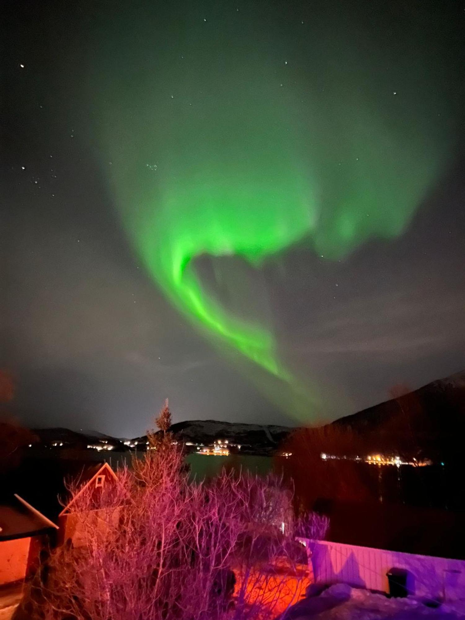 Hotel Evenes Artic Glamping Evenesmarkja Exterior foto